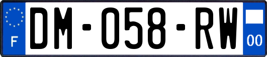 DM-058-RW