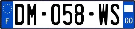 DM-058-WS