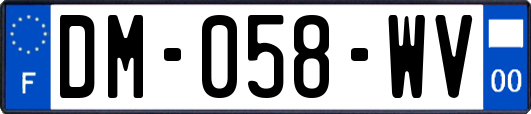 DM-058-WV