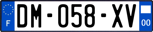 DM-058-XV