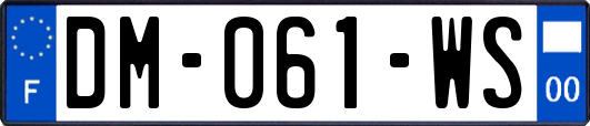 DM-061-WS