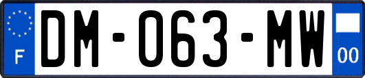 DM-063-MW