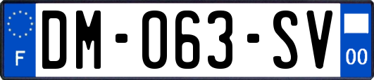 DM-063-SV