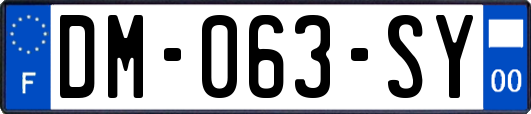 DM-063-SY