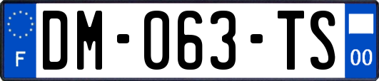 DM-063-TS