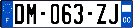 DM-063-ZJ