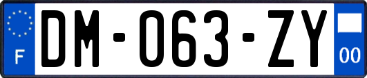 DM-063-ZY