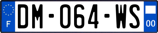 DM-064-WS