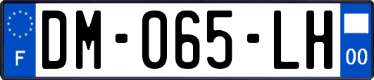 DM-065-LH