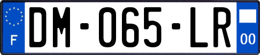 DM-065-LR