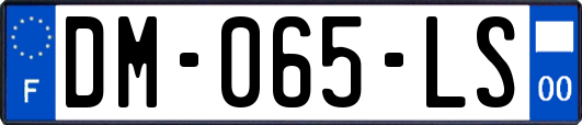 DM-065-LS