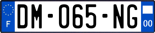 DM-065-NG