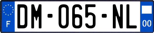 DM-065-NL