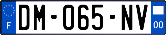 DM-065-NV