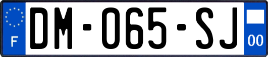 DM-065-SJ