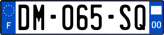 DM-065-SQ