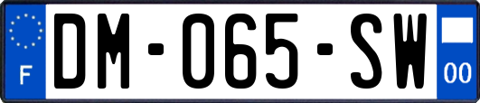DM-065-SW