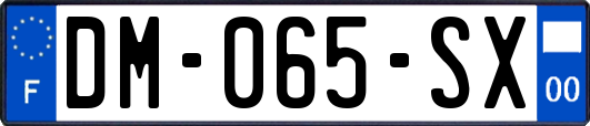 DM-065-SX