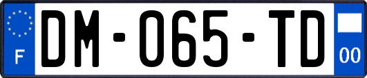 DM-065-TD