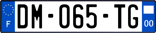 DM-065-TG