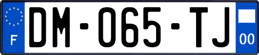 DM-065-TJ