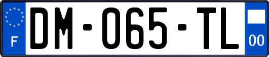 DM-065-TL