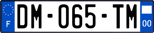 DM-065-TM