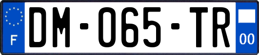 DM-065-TR