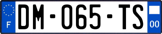 DM-065-TS