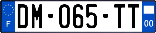 DM-065-TT