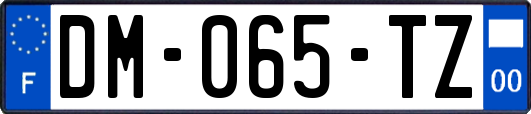 DM-065-TZ