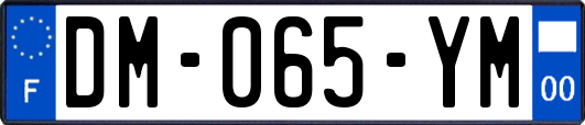 DM-065-YM