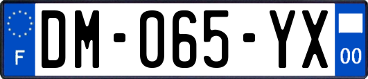 DM-065-YX