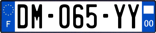 DM-065-YY