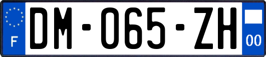 DM-065-ZH