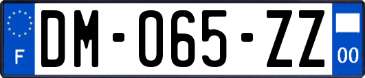 DM-065-ZZ