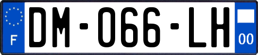DM-066-LH
