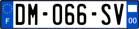 DM-066-SV