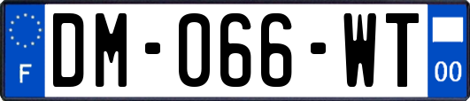 DM-066-WT