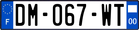 DM-067-WT