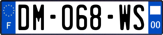 DM-068-WS