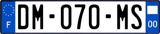 DM-070-MS