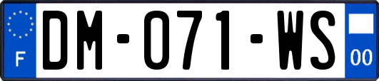 DM-071-WS