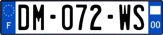 DM-072-WS