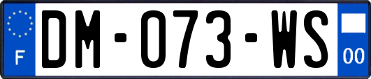 DM-073-WS