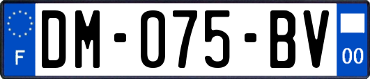 DM-075-BV