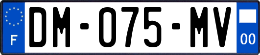 DM-075-MV
