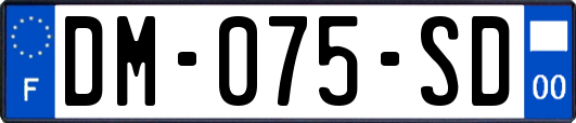 DM-075-SD