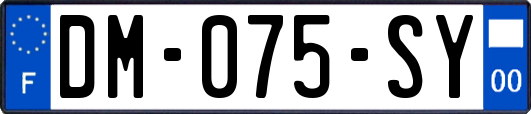 DM-075-SY