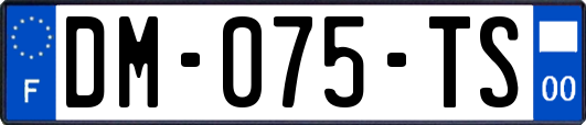 DM-075-TS